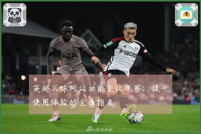 英超买球网站功能变化观察：提升使用体验的全面指南
